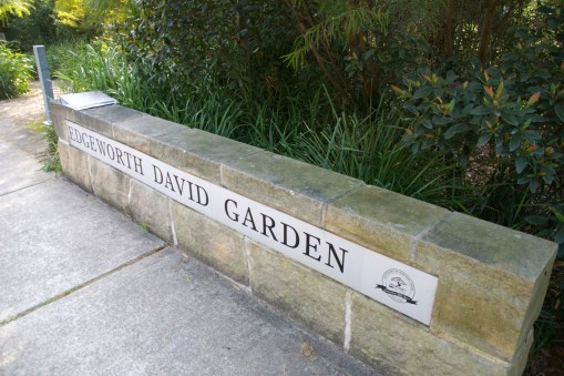 Edgeworth David Garden - 22 Apr 11
