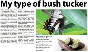 Finger Lime - Southside April 12