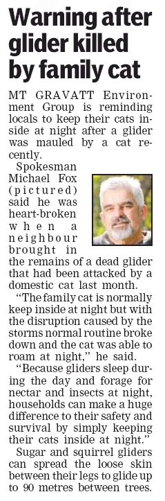 Glider cat attack - Souther Star - 20 Feb 13