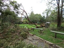 GPP storm damage - 5 Feb 13