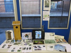 Bris Orchid Society - 19 Apr 2013