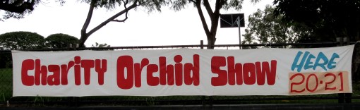 Bris Orchid Society sign - 19 Apr 2013