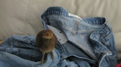 MVI_5711.MOV.Still004