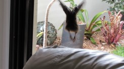 MVI_5711.MOV.Still010