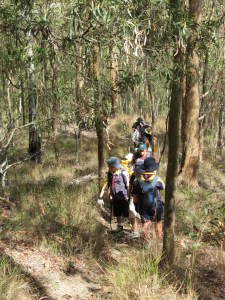 Cub Scouts on patrol - 2 March 2014