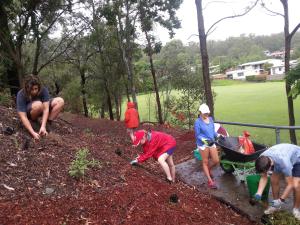 Mt Gravatt SHS Pollinator Link 1 - 13 April 2014