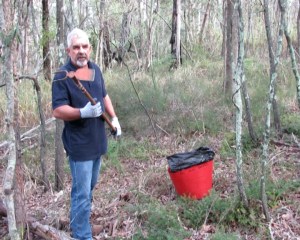 Asparagus Fern - 2 Prong Hoe - June 2014
