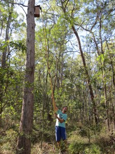 Ben reaching Glider box with GoPro camera
