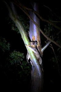 I'm partied out ... time for a rest.