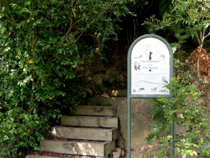 Tunks Park East Bushcare