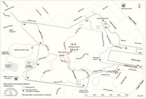 You are here butterfly