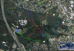 Koala mapping - Mar 2015
