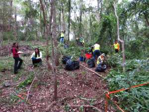 CVA team Fox Gully - 22 May 2013 2