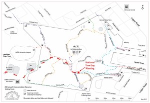 National Tree Day public transport2