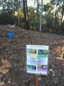 Small bird planting - sign - 13 July 2015