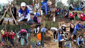 Griffith Mates Bushcare Team