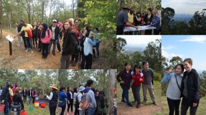 Introducing Griffith students to Australian bush