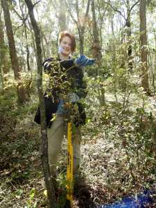 Amanda McArthur 2 - 26 Sept 2016