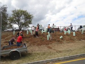 Our first community planting day was a resounding success.