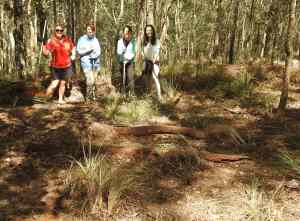 Lantana team - 26 Sept 2015