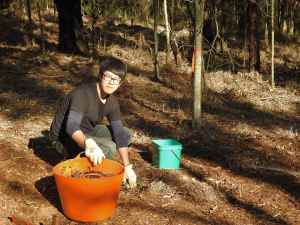 Louis Cheng - 1 Sept 2015