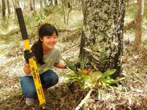 Tomorrow - 26 Sept 2015