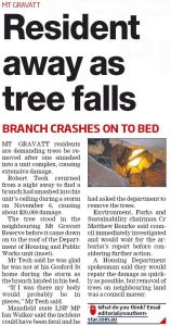 Tree falls - Southern Star - 18 Nov 2015