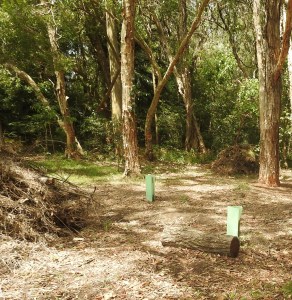 Zone 2 - 15 Dec 2015