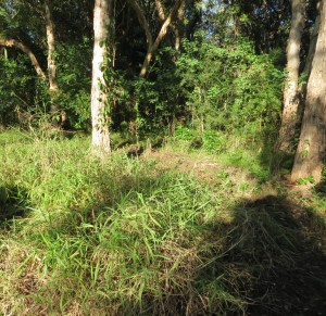 Zone 2 - 22 May 2015