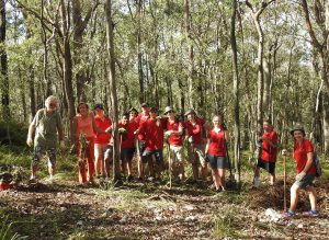 Kokoda Lantana Busters