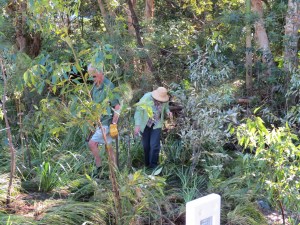 Marshal Liz Roly C - 6 May 2016