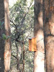Glider box - Geebung Track - 7 July 2016 lowres