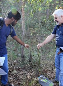 Explaining use of Settlers Flax - 23 July 2016 cropped