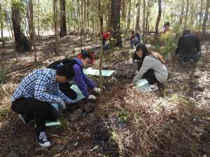 Lantana Busters - 27 Aug 2016 lowres