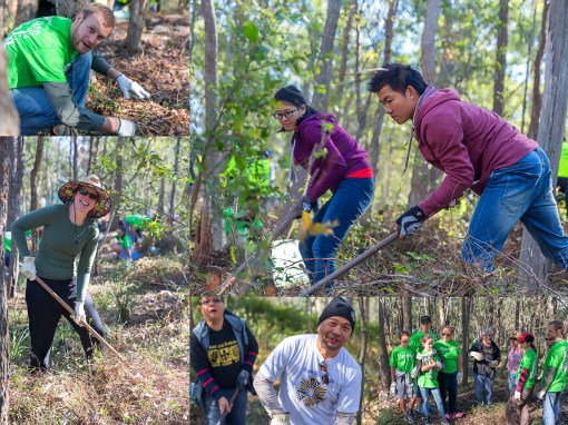 Lantana Busters hard at work