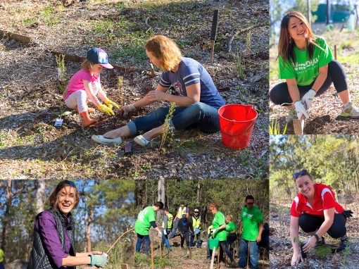 Planting - 31 July 2016