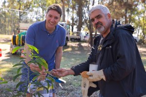 Ross Vasta - National Tree Day - Mt Gravatt Conservation Reserve