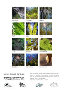 13_thumbnails_2017_v2