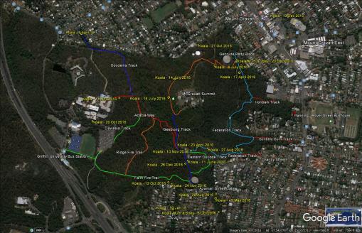 google-map-koalas-2016