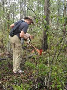 jenny-clean-up-5-mar-2017-lowres