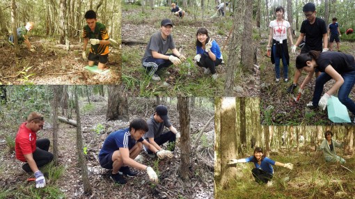 Lantana Busters at work - 25 Mar 2017