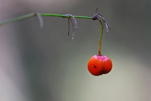 Fiona Space-IMG_6307_01