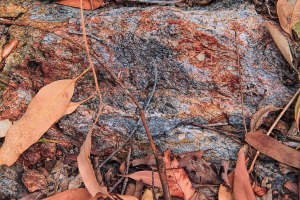 Madonna---Texture-IMG_1199_01