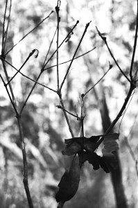 wMeeWun---Line-CSC_0015_01