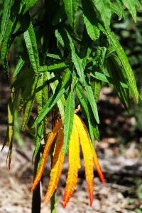 wRob---Colour-IMG_5023_01