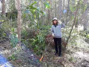 Lantana Buster - 22 July 2017 low res