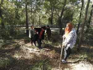 Lantana Busters at work - 22 July 2017 low res