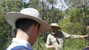 Nat Tree Day 2016 planting - 28 Oct 2017 lowres