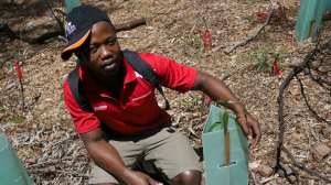 Vicent and tree - 28 Oct 2017 - lowres