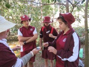 Checking acidy - 18 May 2018